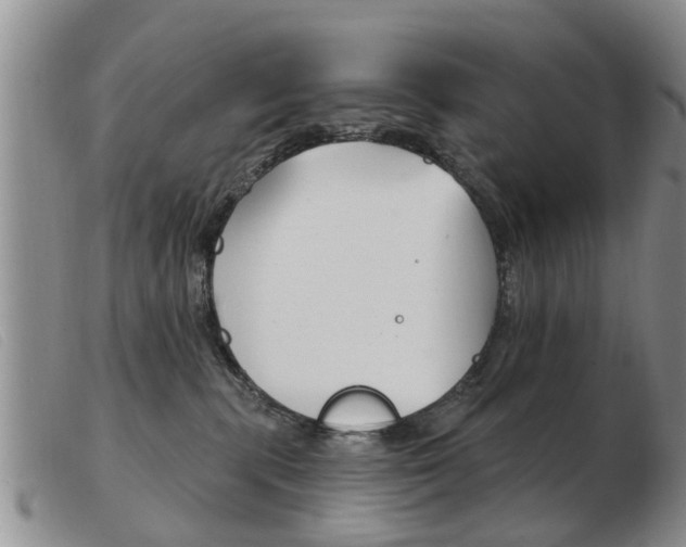 X0000103930283200809191131
