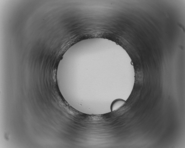 X0000103930286200809191131