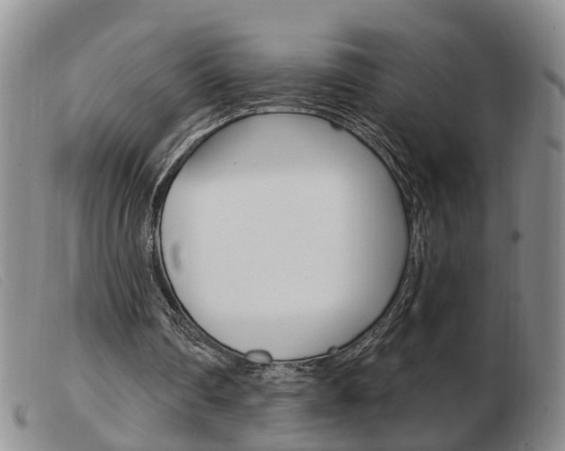 X0000103930290200809191131