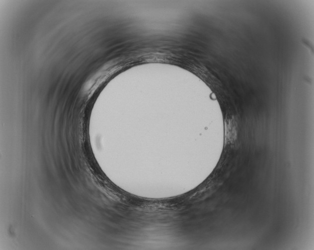 X0000103930291200809191131