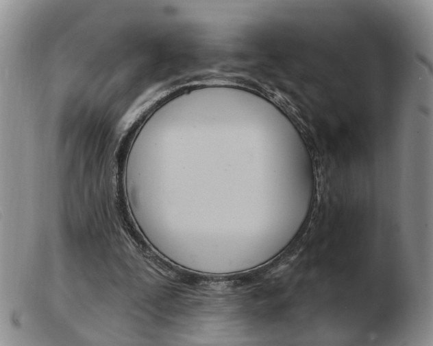 X0000103930295200809191131