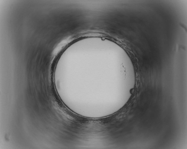 X0000103930296200809191131