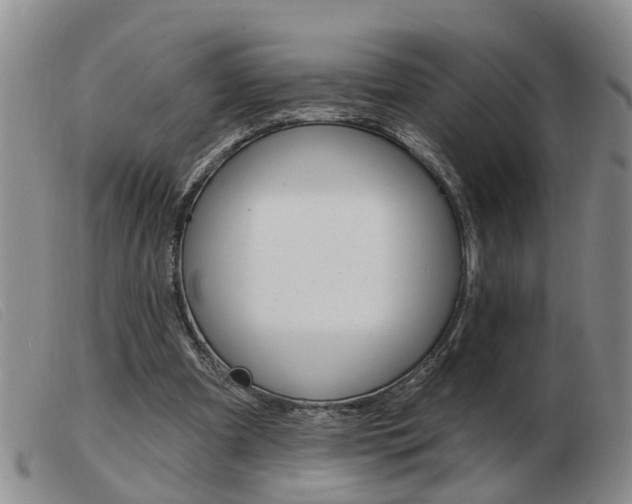 X0000103930297200809191131