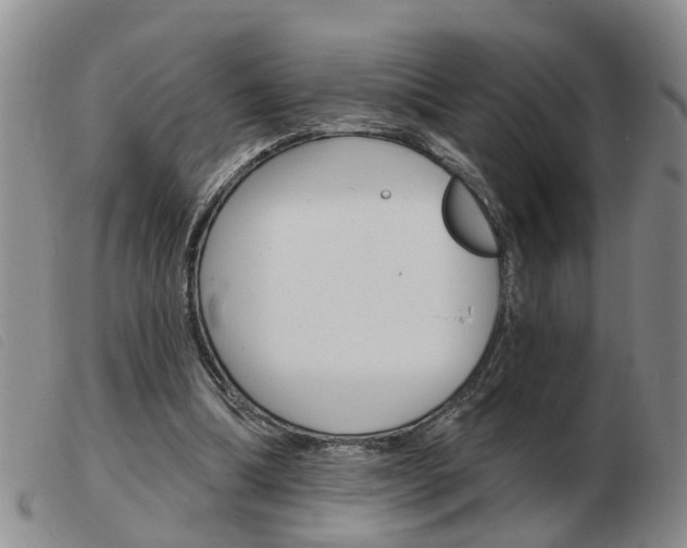 X0000103930298200809191131