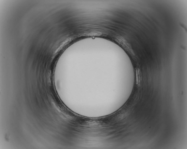 X0000103930300200809191131