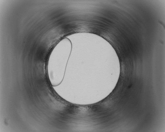 X0000103930302200809191131