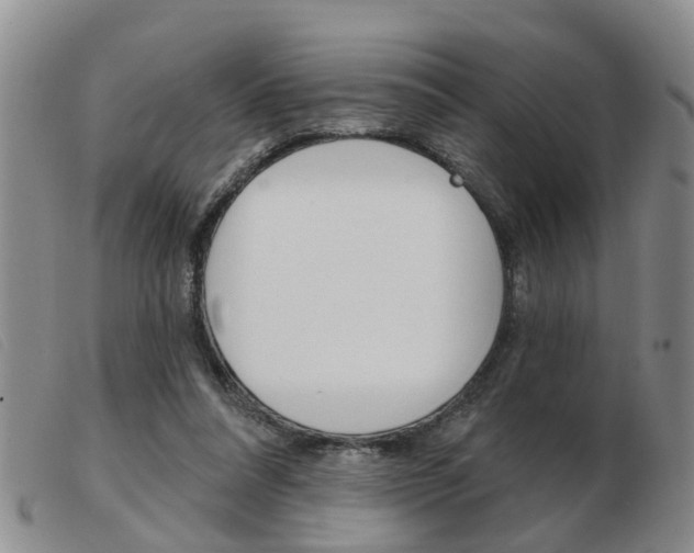 X0000103930304200809191131