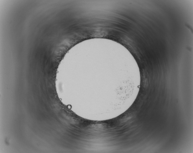 X0000103930307200809191130