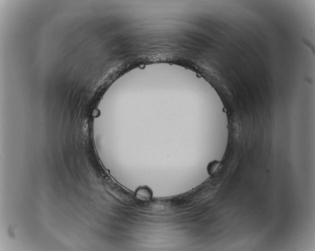X0000103930308200809191130
