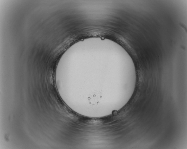 X0000103930313200809191130