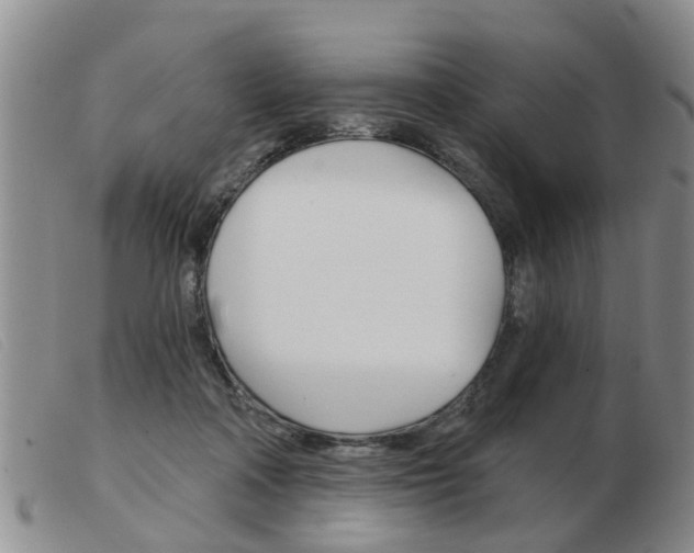 X0000103930314200809191130
