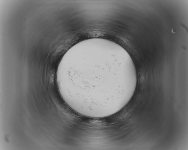 X0000103930315200809191130