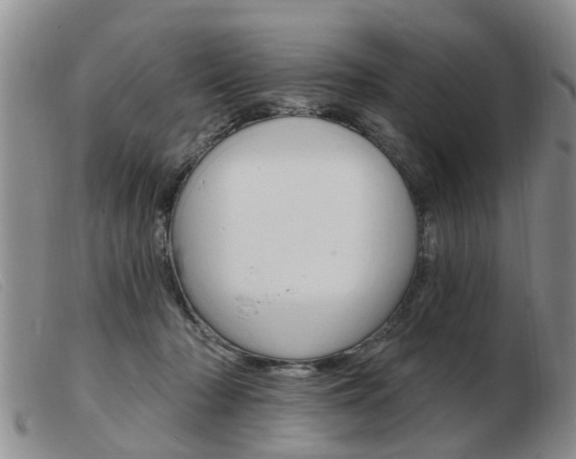 X0000103930318200809191130