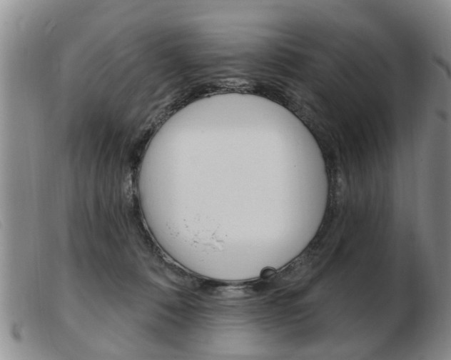 X0000103930320200809191130