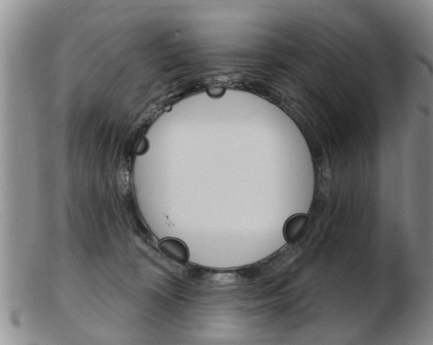 X0000103930324200809191130