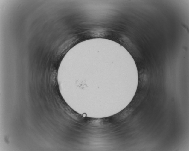 X0000103930325200809191130