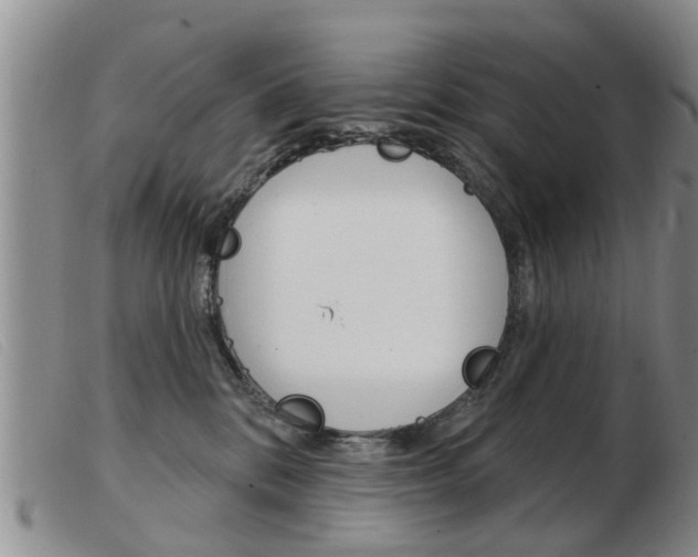 X0000103930328200809191130