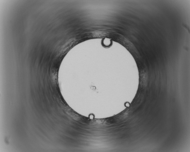 X0000103930329200809191130