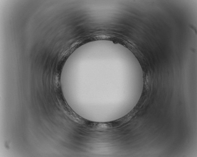X0000103930330200809191130