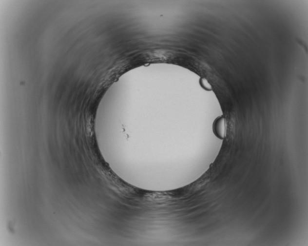 X0000103930331200809191130
