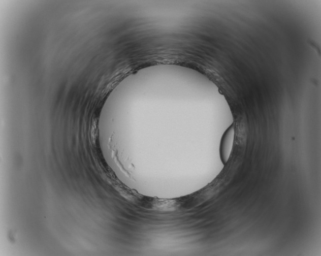 X0000103930334200809191130