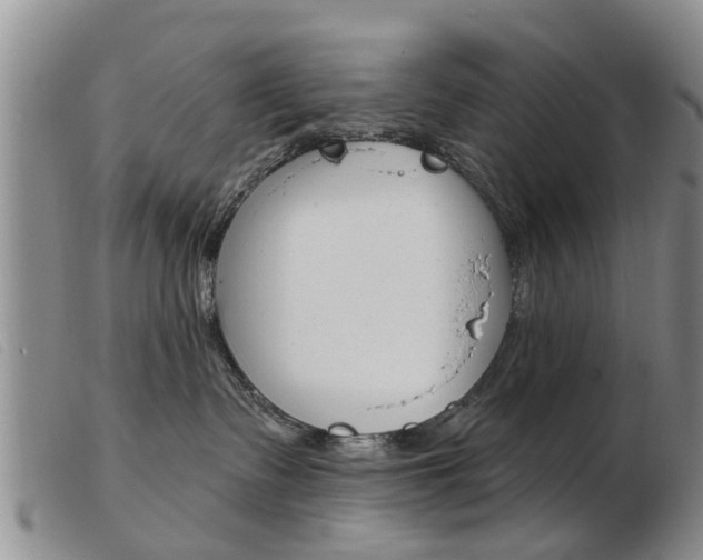 X0000103930335200809191130