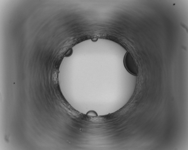 X0000103930336200809191130