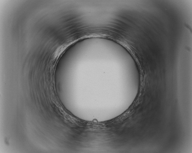 X0000103930337200809191129
