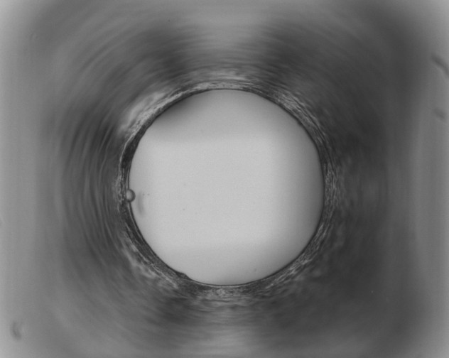 X0000103930338200809191129