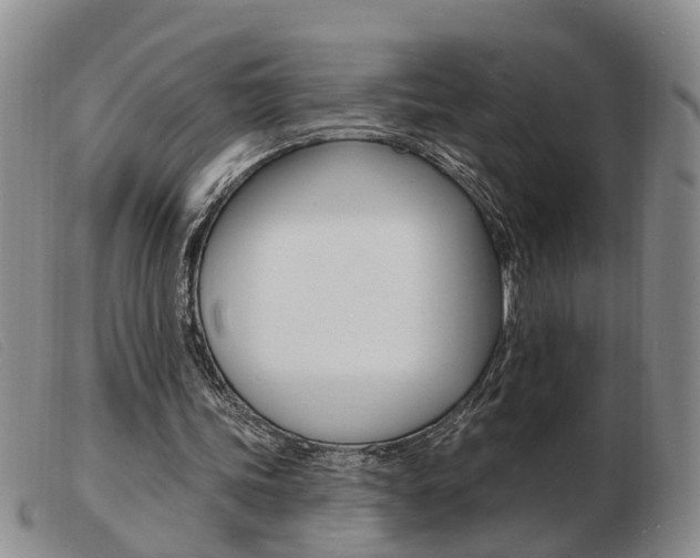 X0000103930339200809191129
