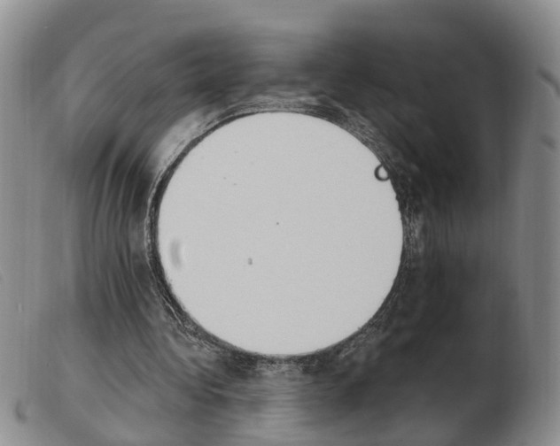 X0000103930340200809191129