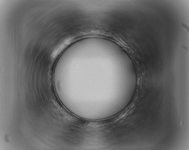 X0000103930341200809191129