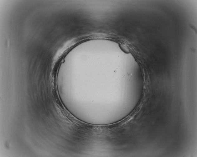 X0000103930343200809191129