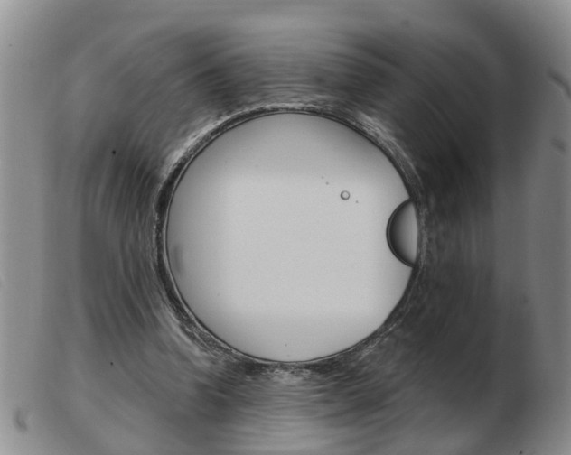 X0000103930346200809191129