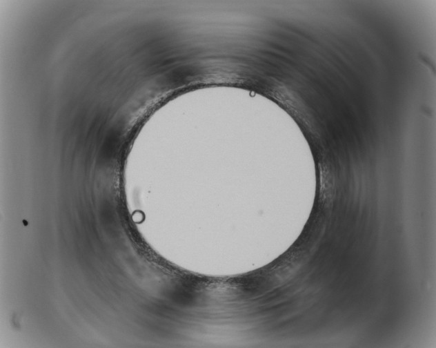 X0000103930348200809191129