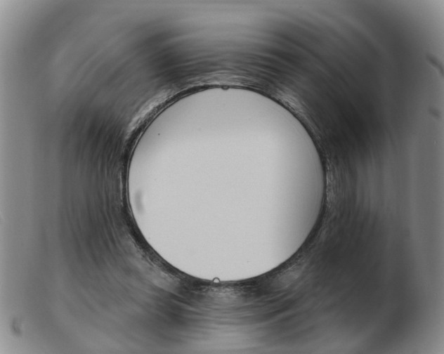 X0000103930349200809191129