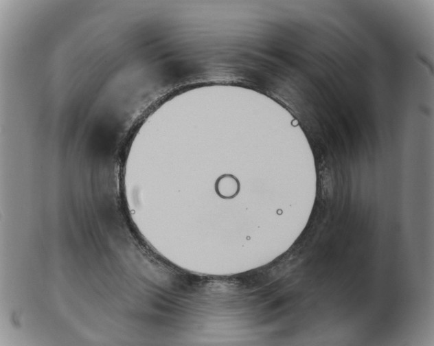 X0000103930350200809191129