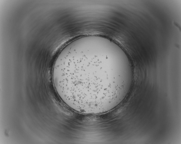 X0000103930351200809191129