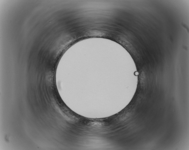X0000103930352200809191129