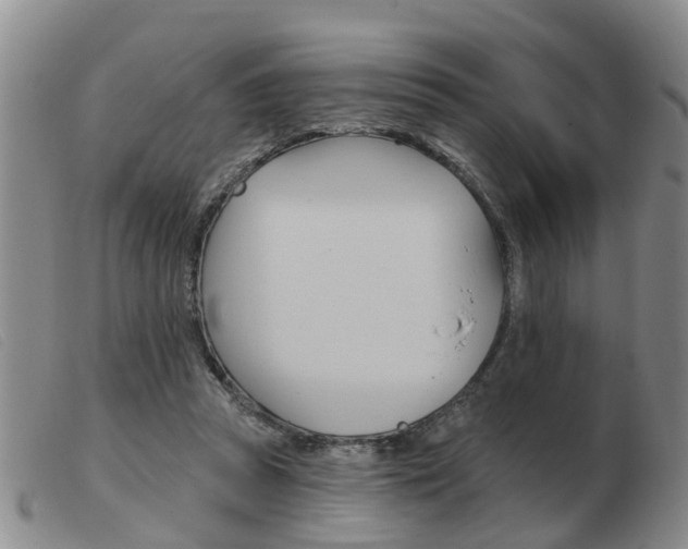 X0000103930353200809191129