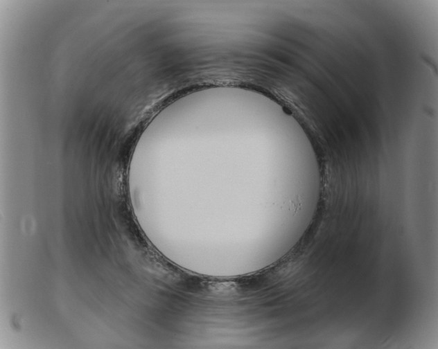 X0000103930355200809191129