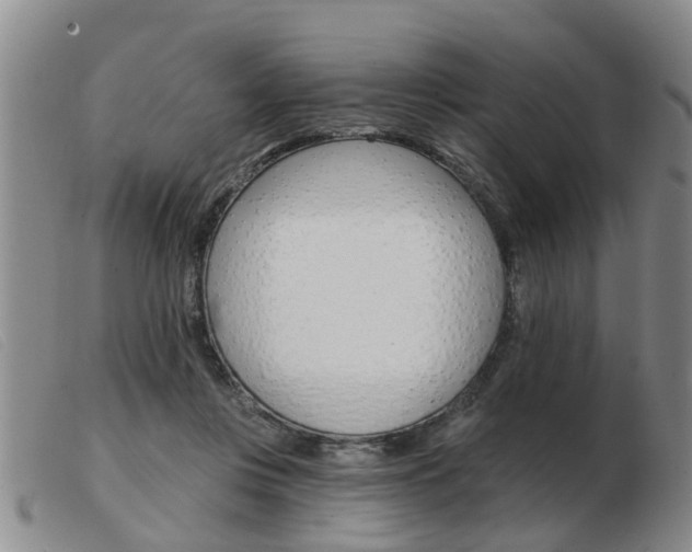 X0000103930359200809191130