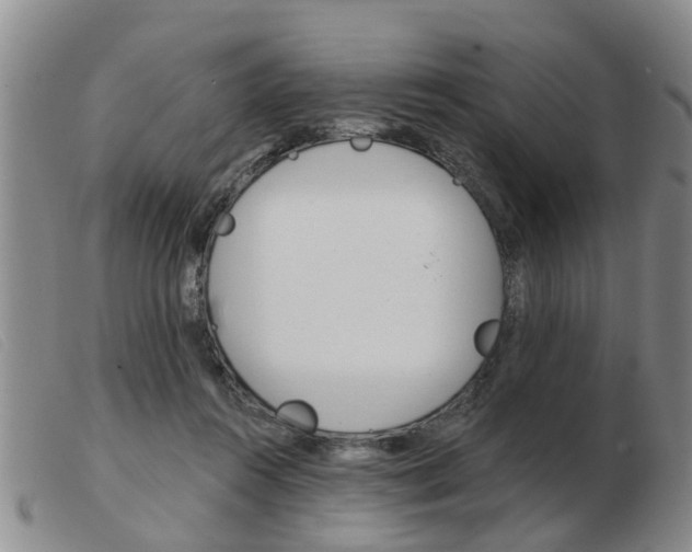 X0000103930360200809191130