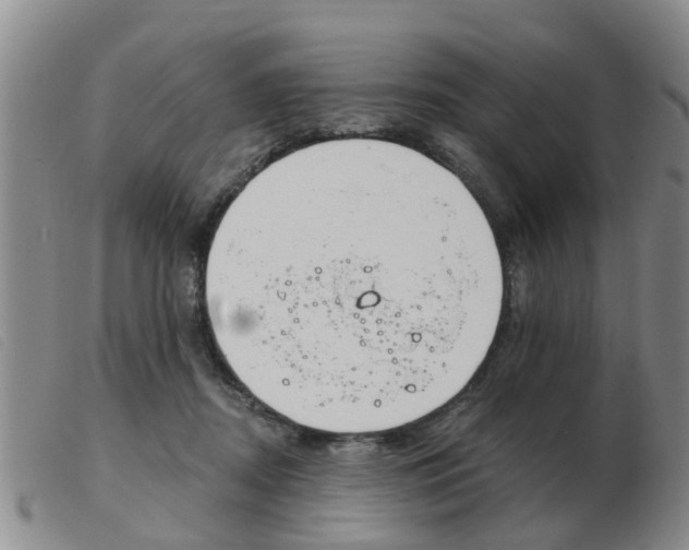 X0000103930362200809191130