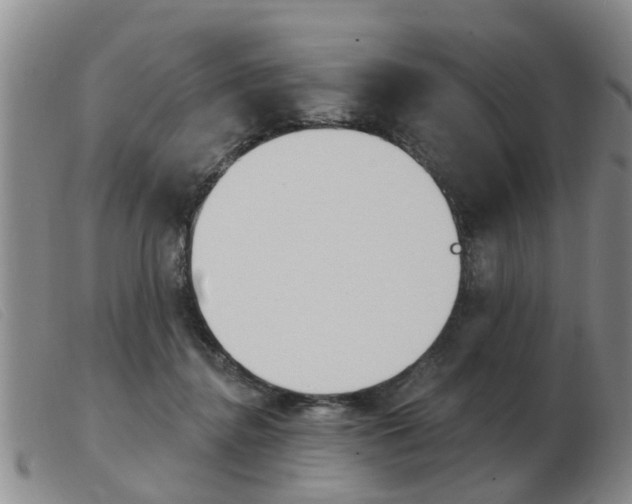 X0000103930364200809191130