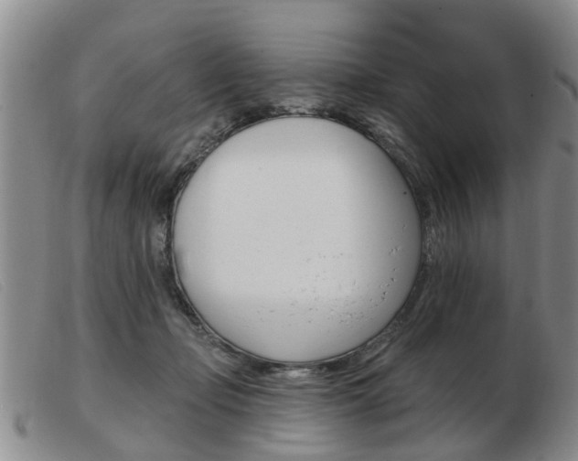 X0000103930365200809191130