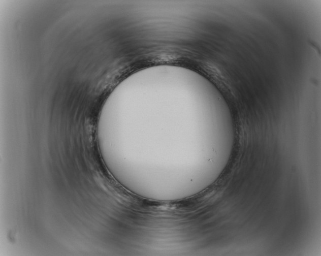 X0000103930366200809191130