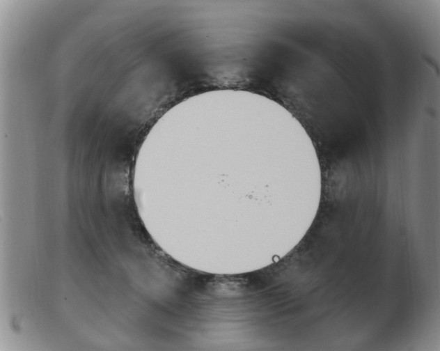 X0000103930368200809191130