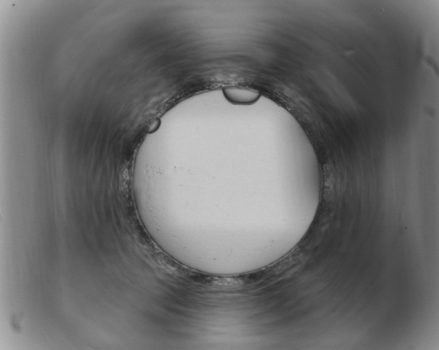 X0000103930369200809191130