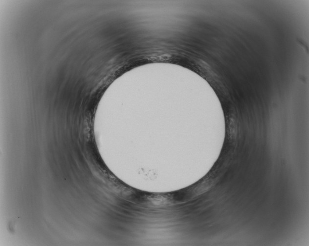 X0000103930370200809191130